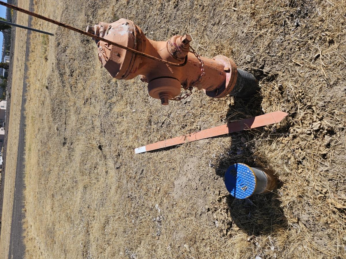 0.2 Acres for Sale in Calfornia Pine, California