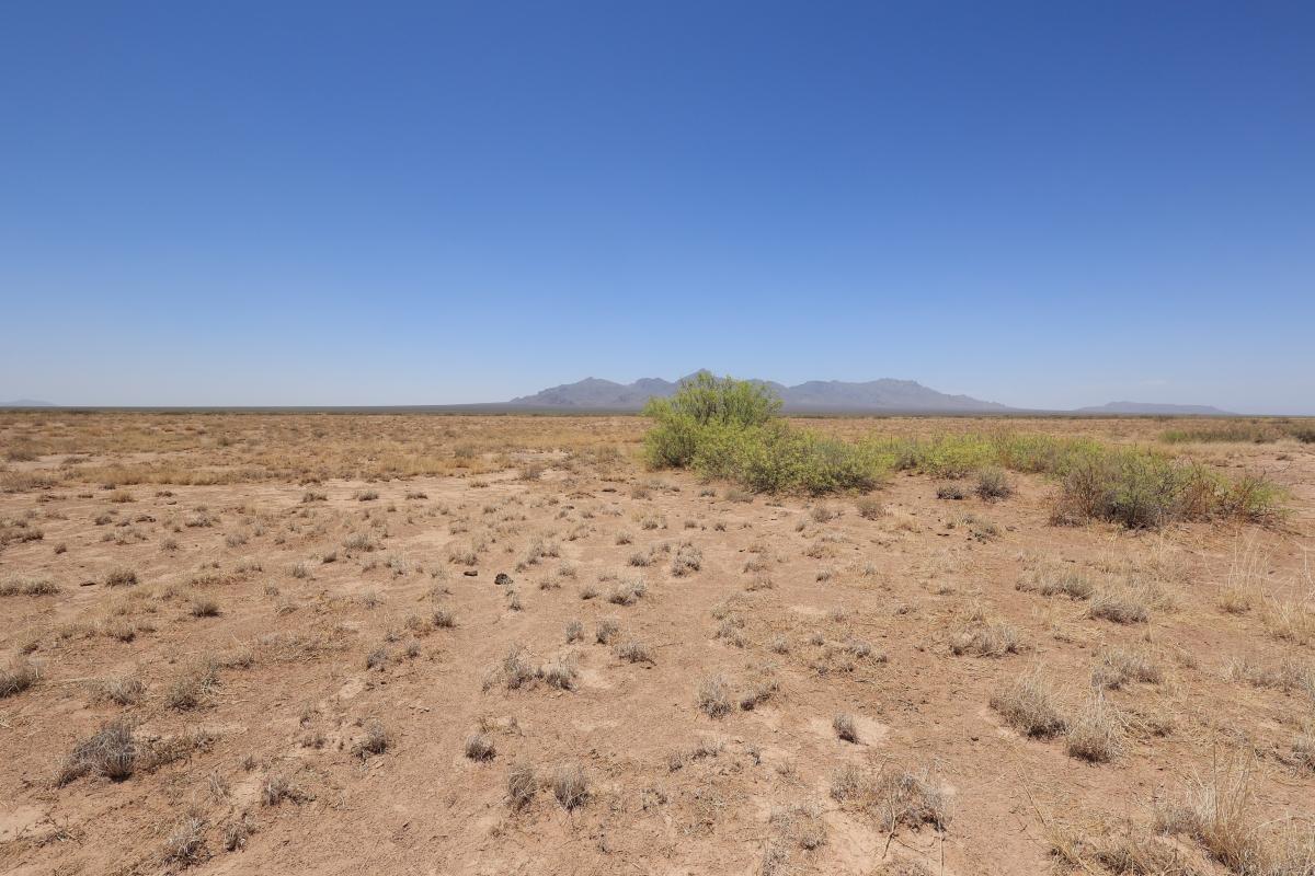 .5 Acres for Sale in Valencia, New Mexico