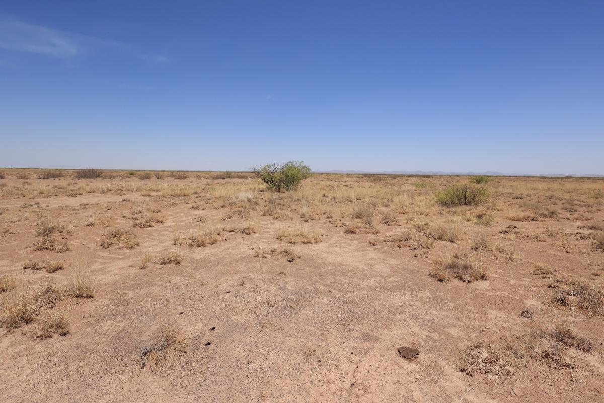 .5 Acres for Sale in Valencia, New Mexico