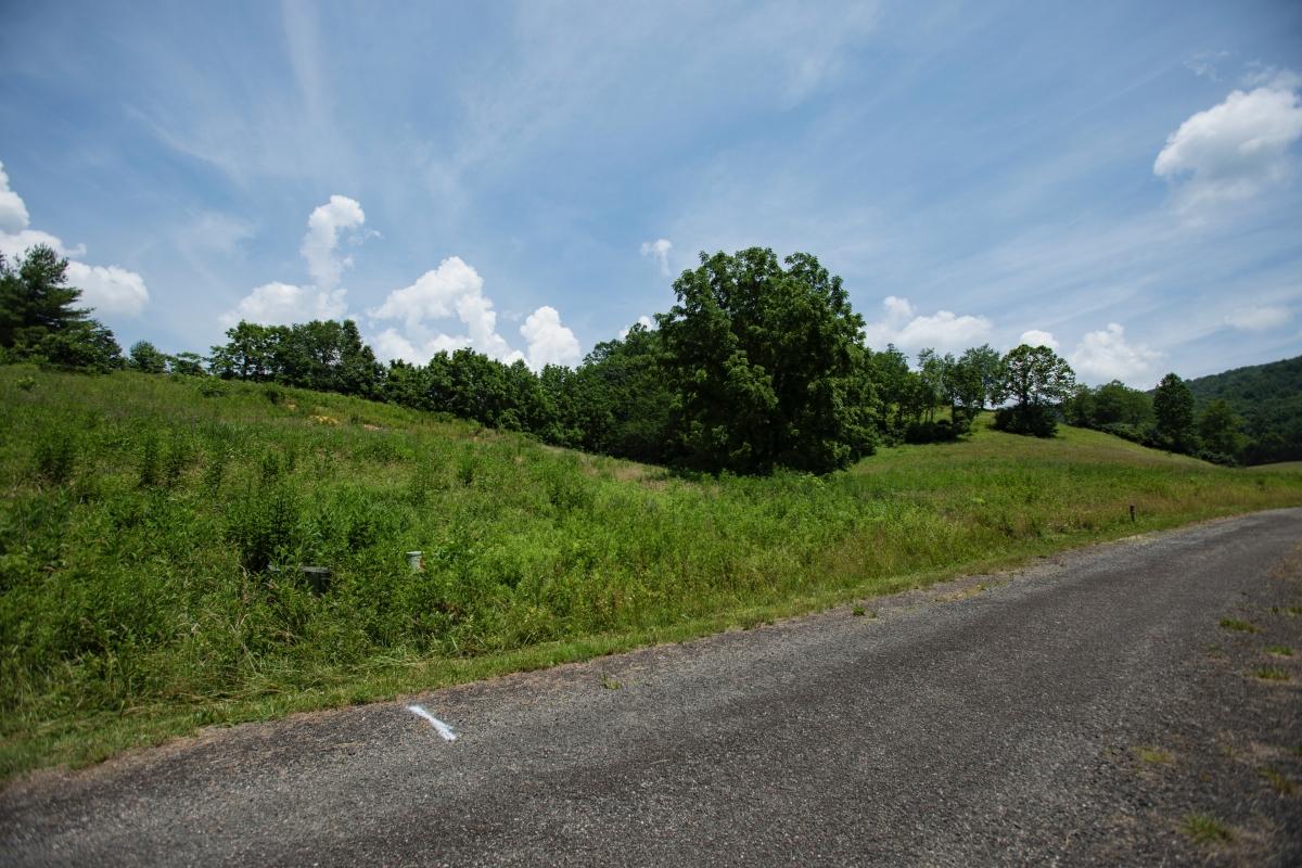 1.15 Acres for Sale in Butler, Tennessee