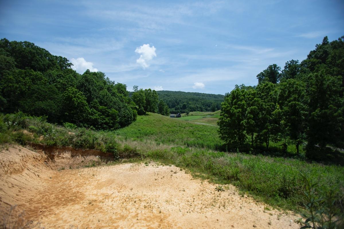 1.15 Acres for Sale in Butler, Tennessee