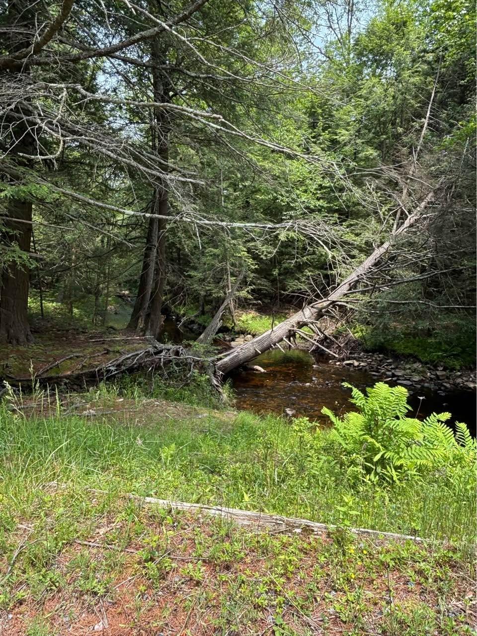 0.77 Acres for Sale in Tobyhanna, Pennsylvania