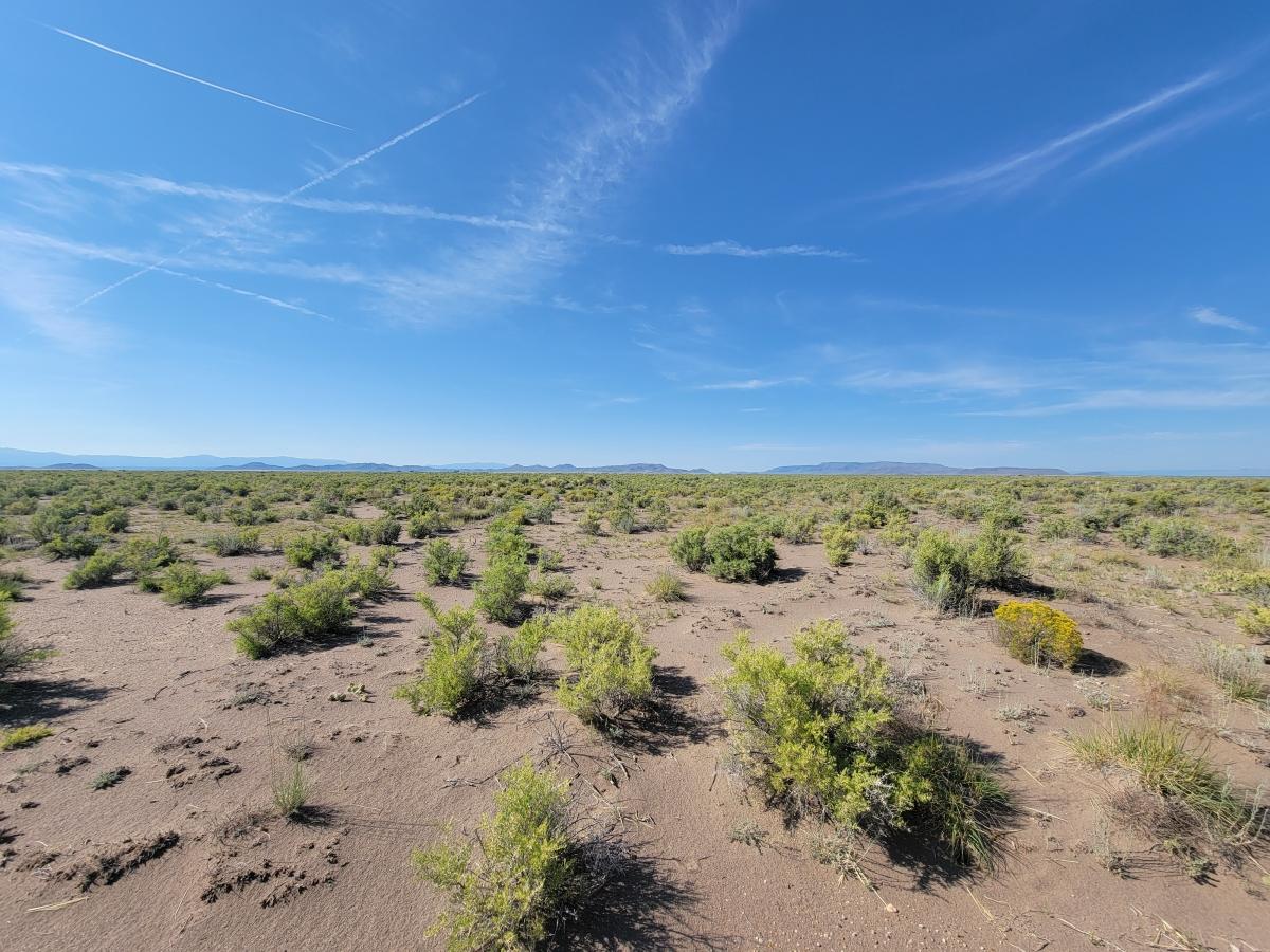 4.82 Acres for Sale in Blanca, Colorado