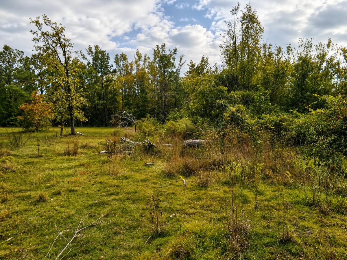 2.97 Acres for Sale in White Oak, North Carolina