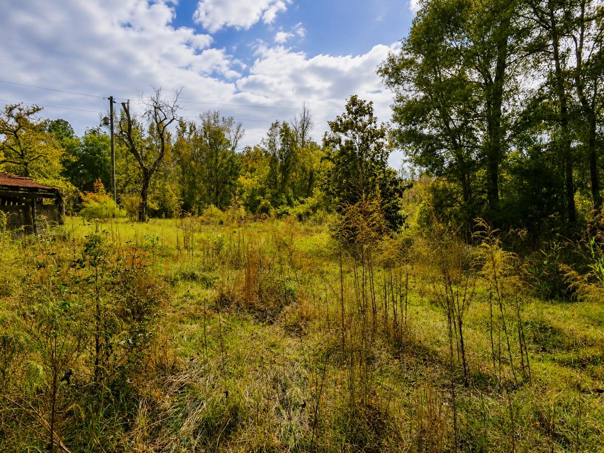 2.97 Acres for Sale in White Oak, North Carolina