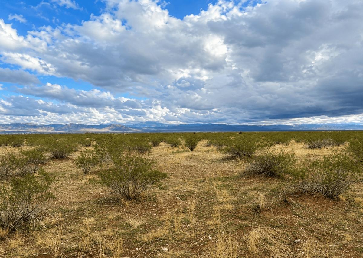 2.21 Acres for Sale in Golden Valley, Arizona