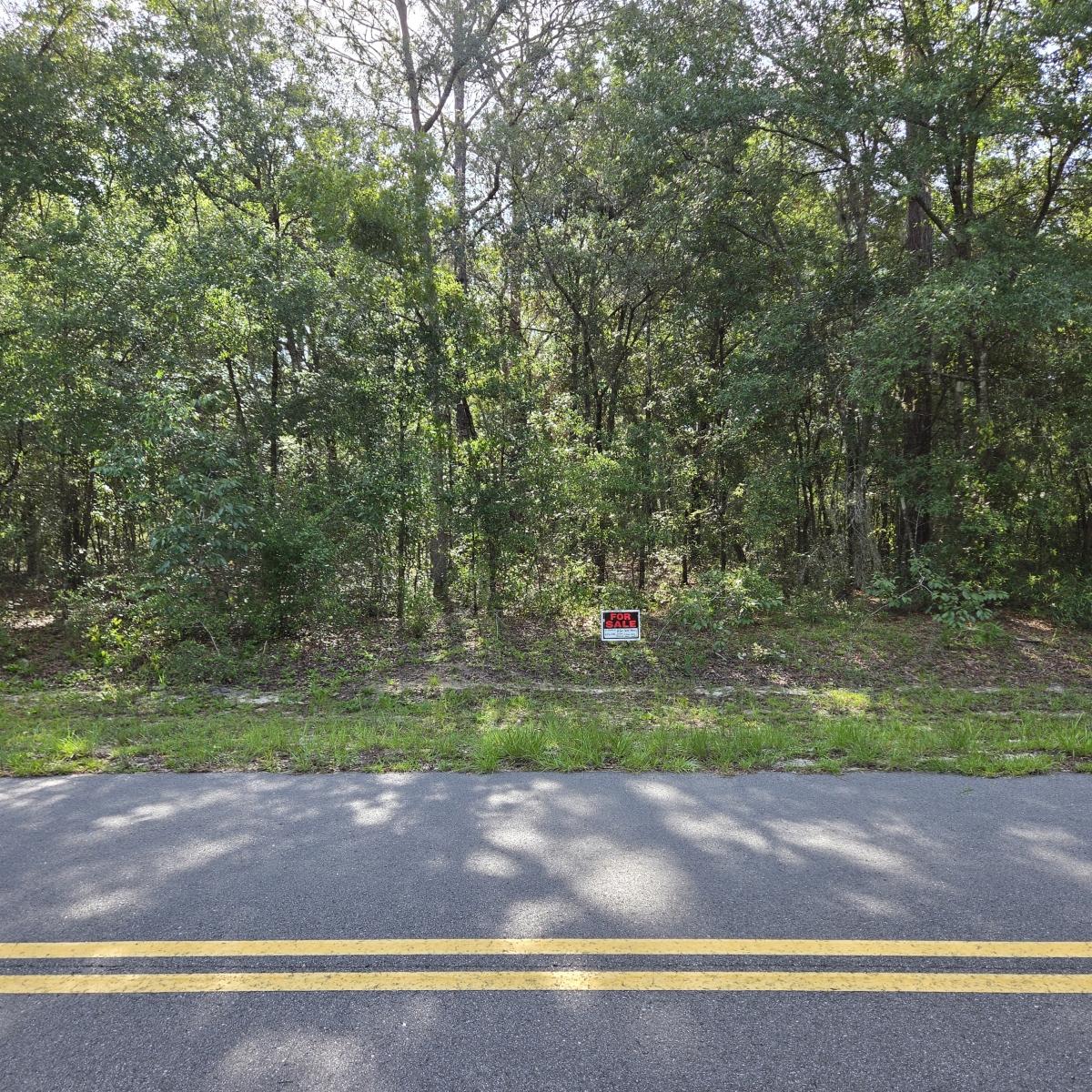0.34 Acres for Sale in Interlachen, Florida