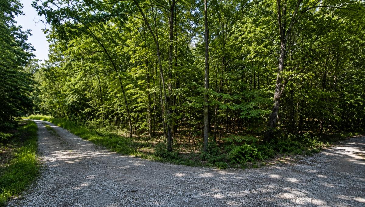 1.00 Acres for Sale in Cherokee Village, Arkansas