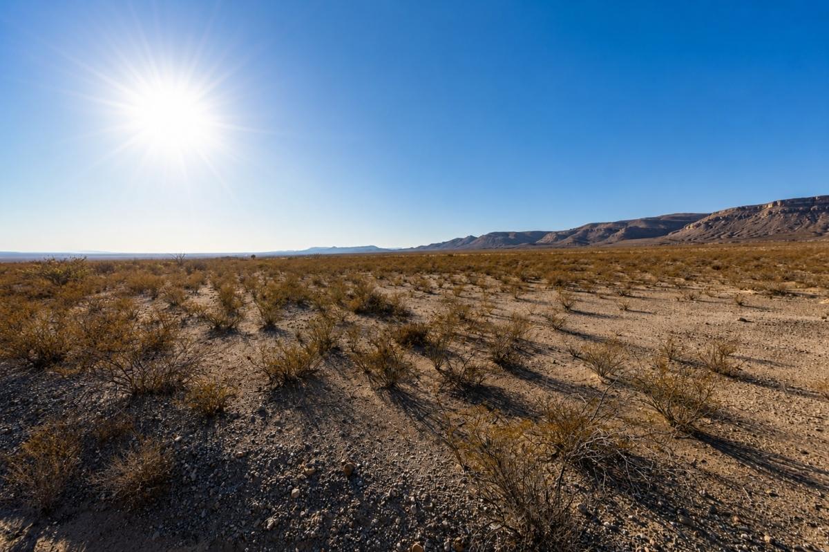 20 Acres for Sale in Scotts Crossing, Texas