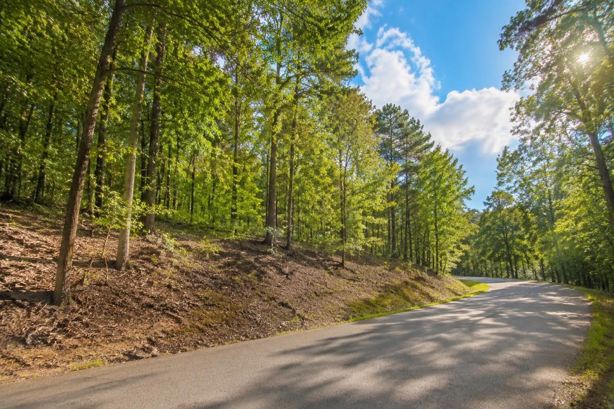 0.41 Acres for Sale in Fairfield Bay, Arkansas