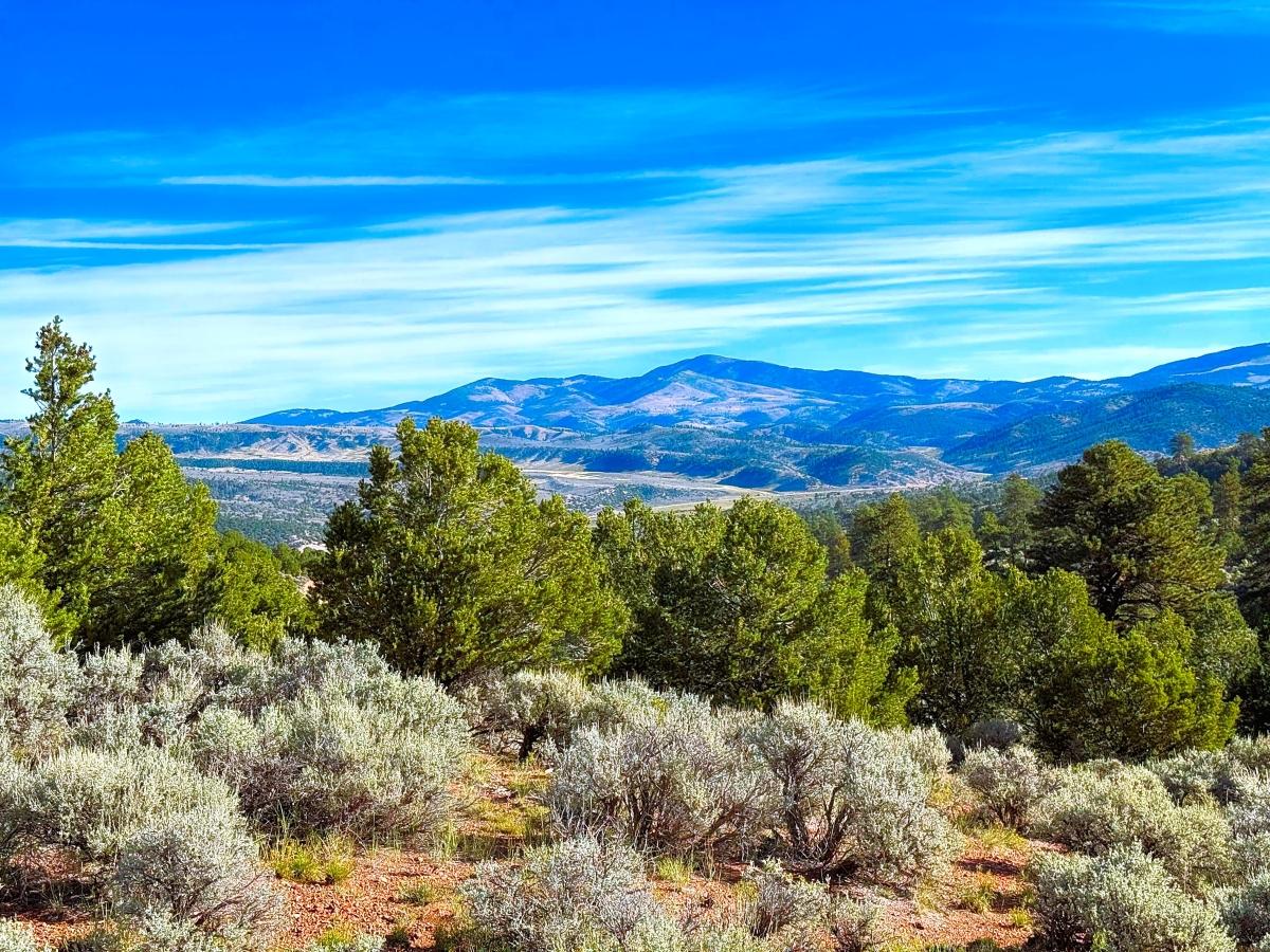 5.04 Acres for Sale in Fort Garland, Colorado