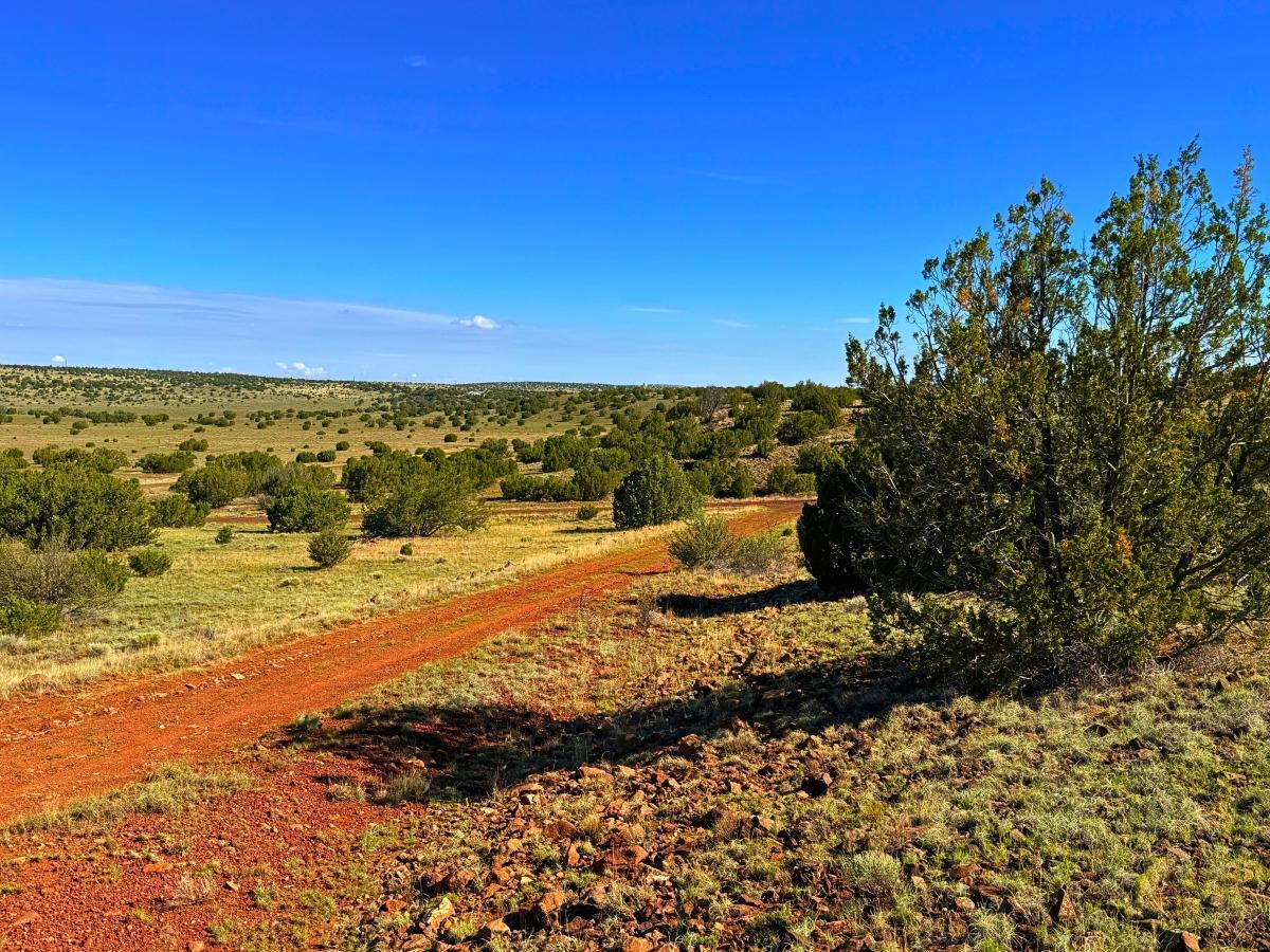 3.12 Acres for Sale in Concho, Arizona