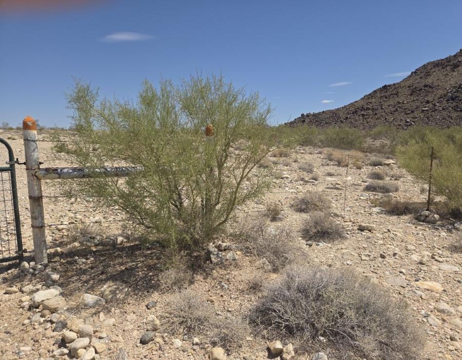 7.95 Acres for Sale in Kingman, Arizona