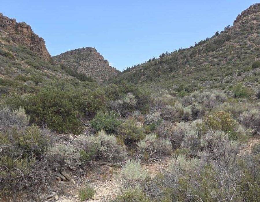 7.95 Acres for Sale in Kingman, Arizona