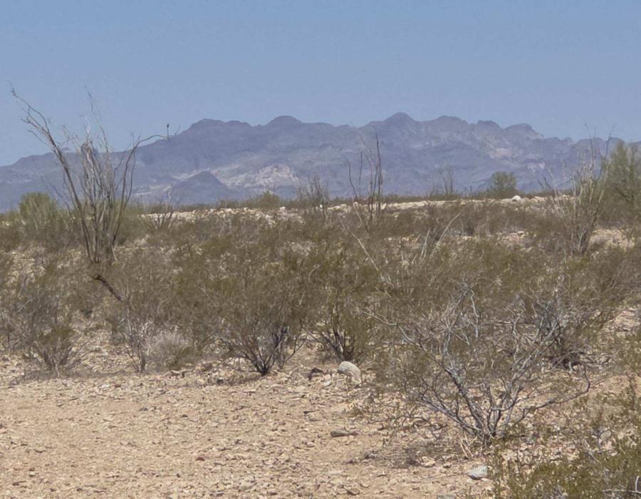 7.95 Acres for Sale in Kingman, Arizona