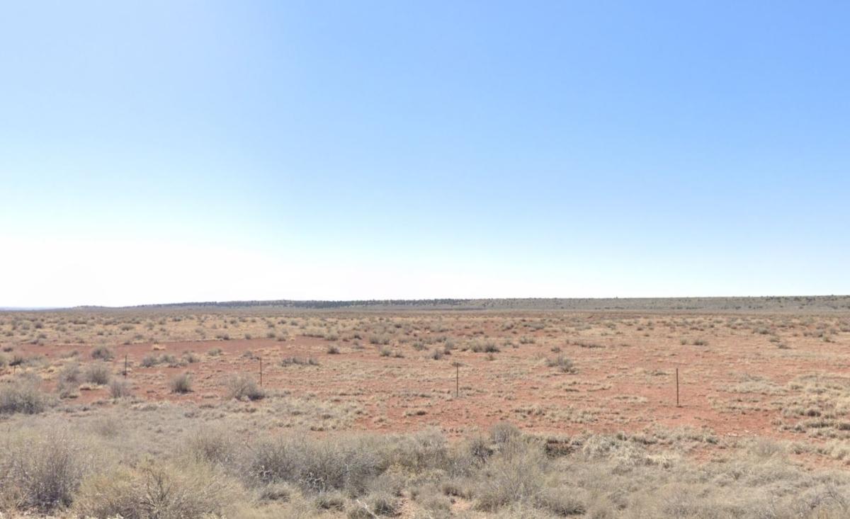 36.9 Acres for Sale in St Johns, AZ