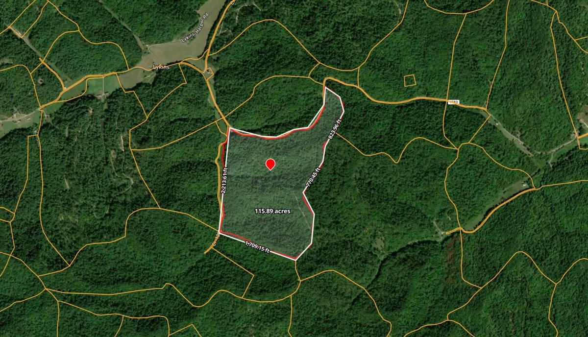 113 Acres for Sale in Salyersville, KY