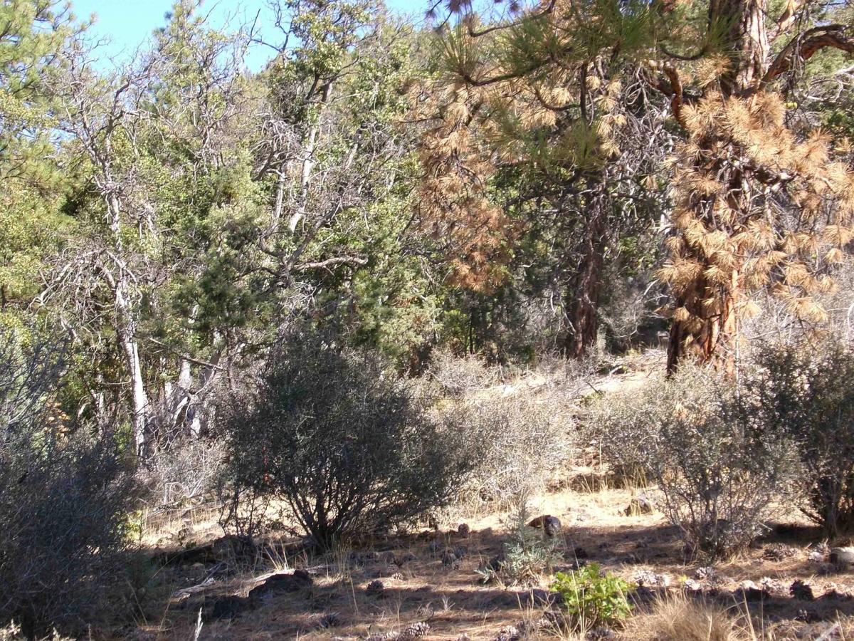 80 Acres for Sale in Fort Jones, CA