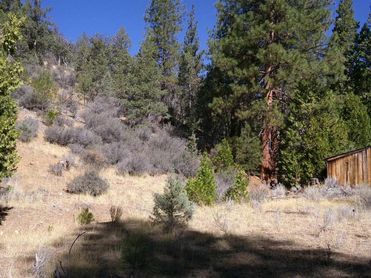 80 Acres for Sale in Fort Jones, CA